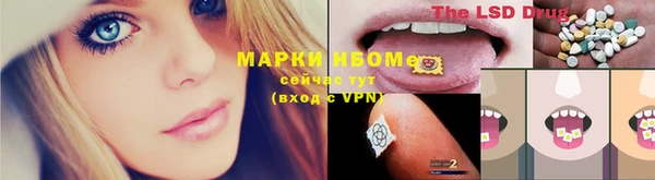 дмт Алексин