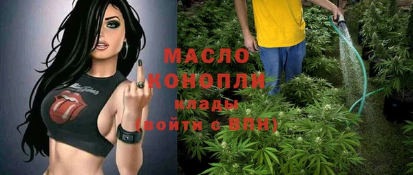 дмт Алексин