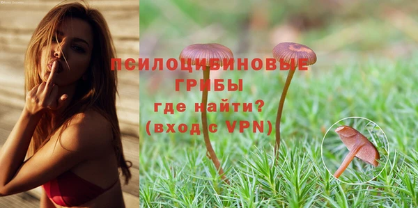 гашик Алзамай
