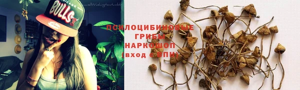 гашик Алзамай